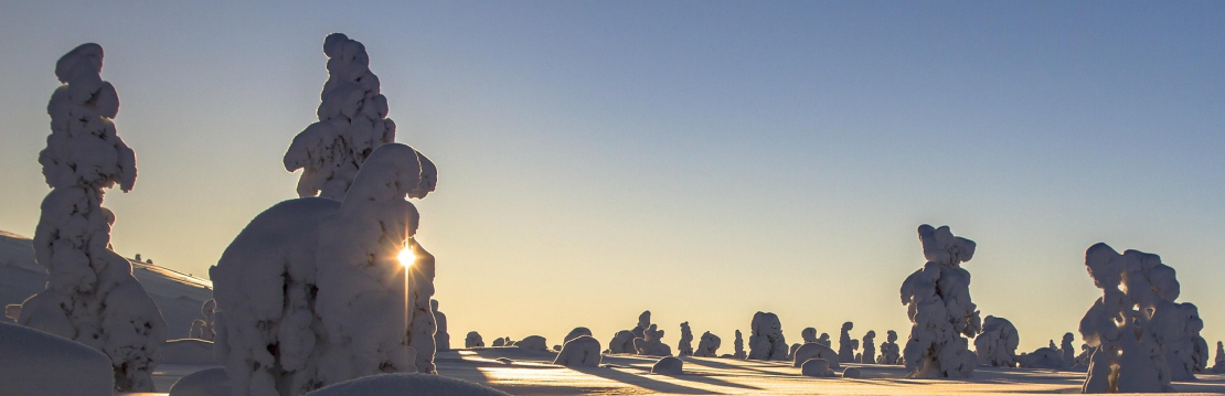 verschneite_Landschaft_mit_fahler_Sonne