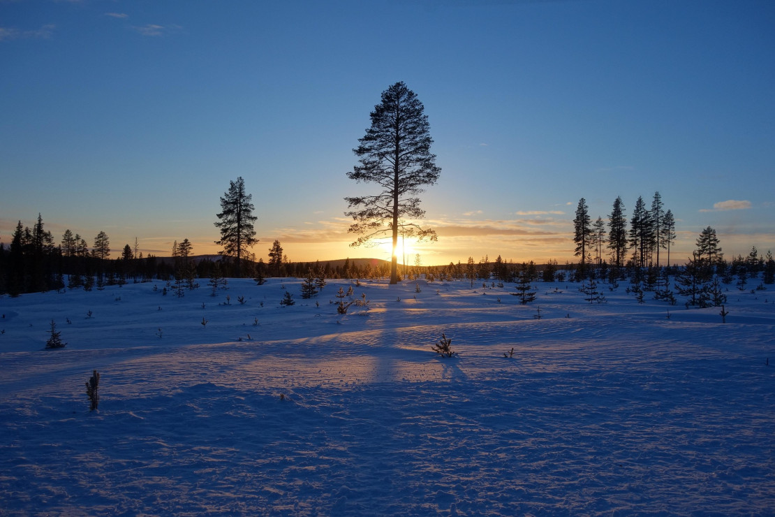 original pixabay finnisch-lappland 7