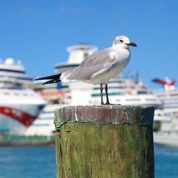 Darf´s ein bisschen Meer sein?